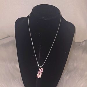 Dior silver trotter chain & pendant